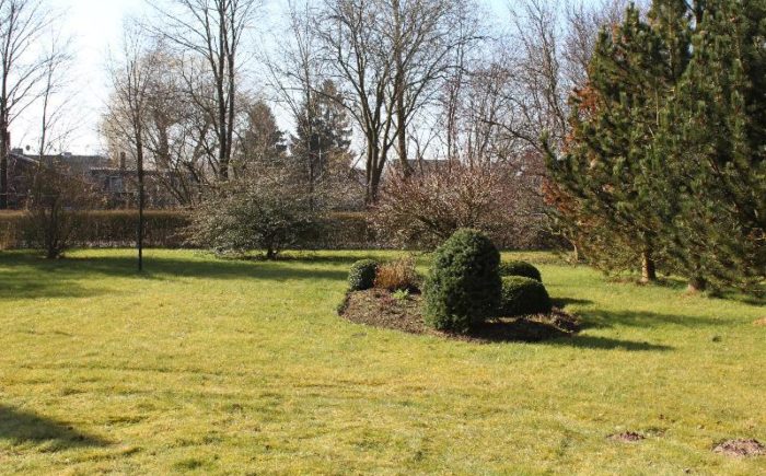 Blick zur Straße