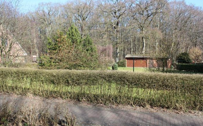Strassenansicht
